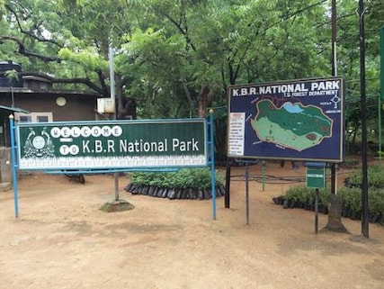 Spot Wildlife at KBR National Park